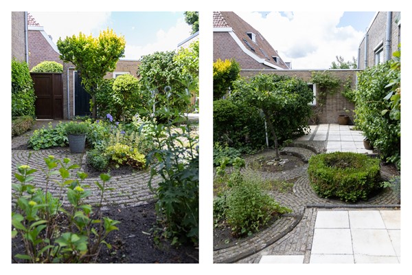 Tuin 4.jpg